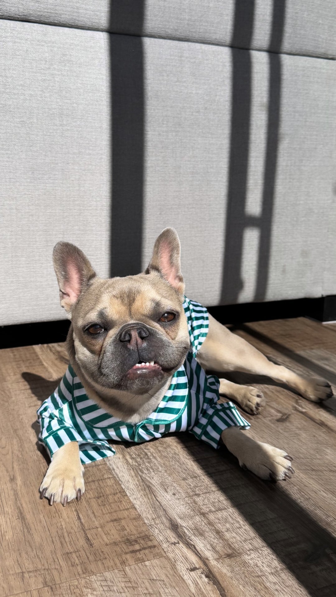 Satin Dog Pyjama Shirt - Green/White Stripes